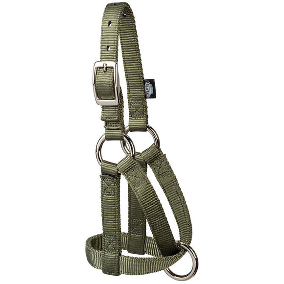 Weaver Nylon Goat Halter (Small, Hunter Green)