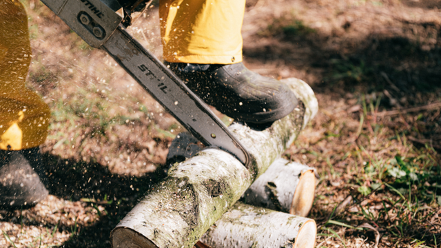 Stihl chainsaw