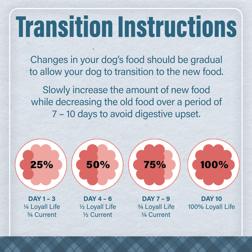 Loyall Life® Chicken & Brown Rice Recipe All Life Stages Dog Food