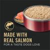 Purina Pro Plan Sensitive Skin & Stomach Wet Dog Food Classic Salmon & Rice Entree (13-oz can)