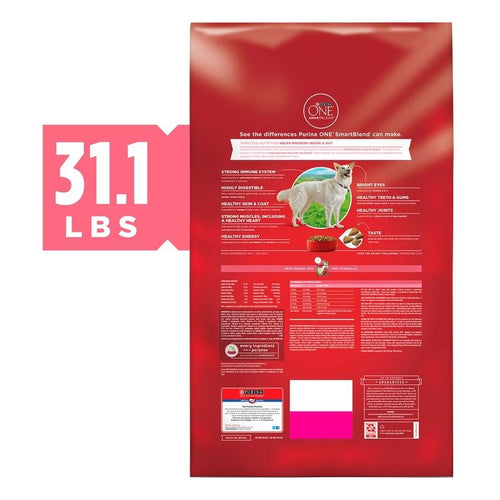 Purina ONE SmartBlend Sensitive Stomach Dry Dog Food