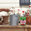 Miracle-Gro® Water Soluble Rose Plant Food