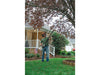 Stihl HTA 50 w/ AK 20 and AL 101 Charger