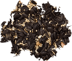 Wild Delight Gourmet Outdoor Bird Food
