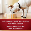 Purina ONE True Instinct Tender Cuts in Gravy Dog Food Formula With Real Chicken & Duck