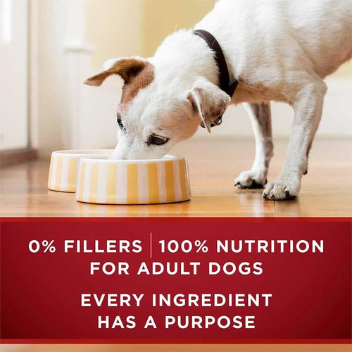 Purina ONE True Instinct Tender Cuts in Gravy Dog Food Formula With Real Chicken & Duck