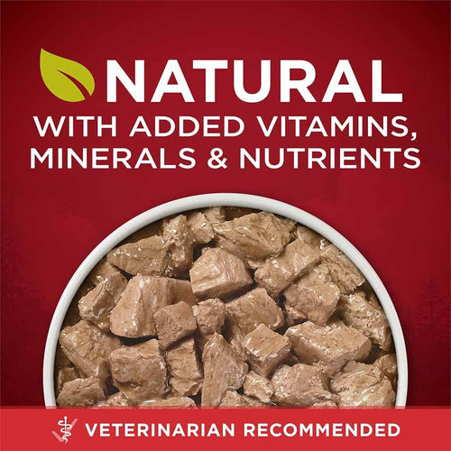 Purina ONE True Instinct Tender Cuts in Gravy Dog Food Formula With Real Chicken & Duck