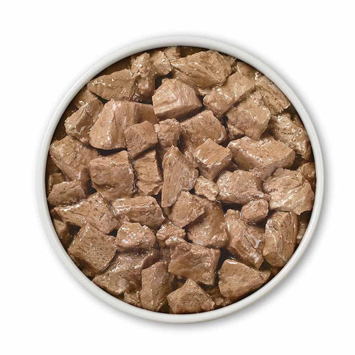 Purina ONE True Instinct Tender Cuts in Gravy Dog Food Formula With Real Chicken & Duck