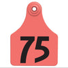 Allflex Global Large Numbered Calf Ear Tags Red