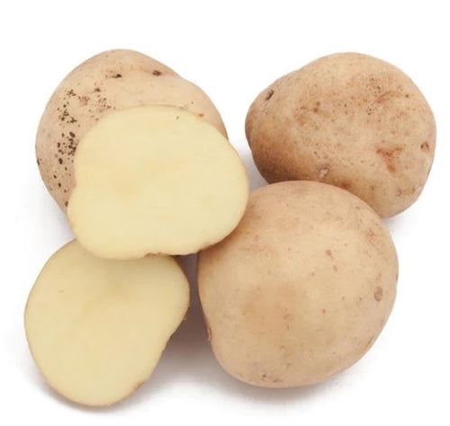 Yukon Gold Potato - Certified