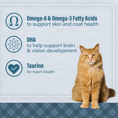 Loyall Life® Cat & Kitten Chicken Recipe