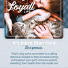 Loyall Life® Cat & Kitten Chicken Recipe