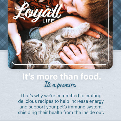 Loyall Life® Cat & Kitten Chicken Recipe