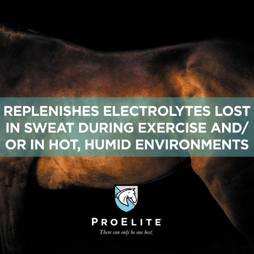 ProElite® Sweat