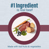 Nutrena® Loyall Life® Beef & Barley Recipe Adult Dog Food