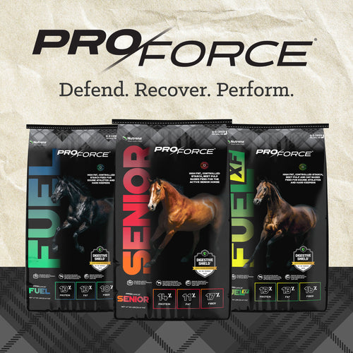 Nutrena® ProForce® Fuel Horse Feed