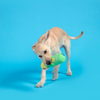 BARK Flingles Can Plush Tug Dog Toy