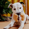 Bark More S'mores Plush Tug Dog Toy