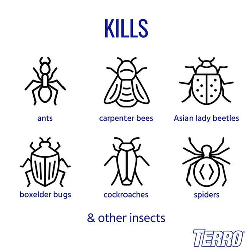 TERRO® Outdoor Ant Killer Spray