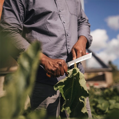 Fiskars Harvesting Knife