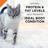 Purina Pro Plan Savor Adult Chicken Entree with Tomatoes Braised in Gravy Canned Cat Food