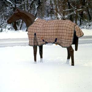 5/A Baker Turnout Blanket 400 Gram