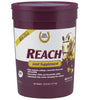 Farnam Reach Joint Supplement
