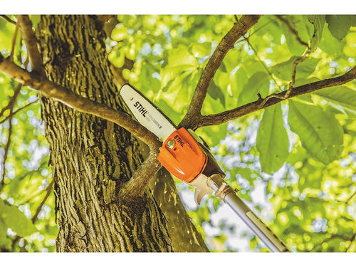 STIHL HT-KM Pole Pruner