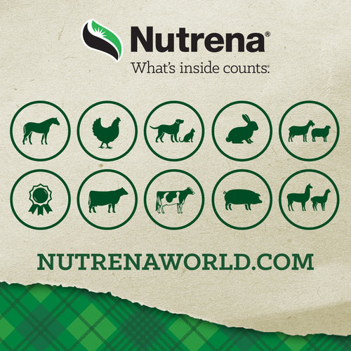 Nutrena® ProForce® Fuel Horse Feed