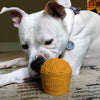 Bullymake Popcorn Bucket Dog Toy