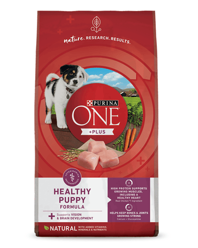 Purina ONE Plus Healthy Puppy Formula Dry Dog Food