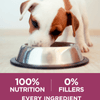 Purina ONE Plus Healthy Puppy Formula Dry Dog Food