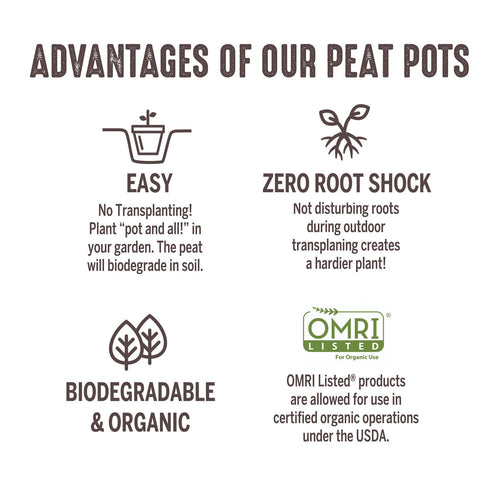 Ferry-Morse Jiffy-Pots Peat Pots