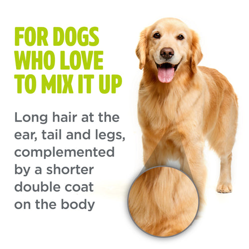 TropiClean Combination Coat Shampoo For Dogs (16 oz)